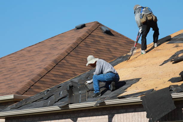 Best Steel Roofing  in Walcott, IA